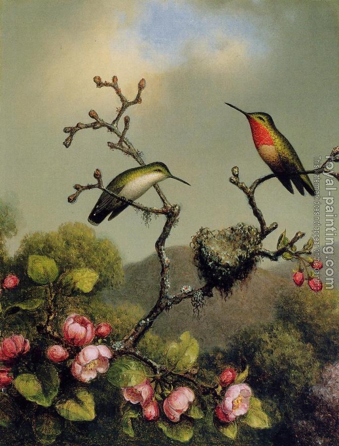 Martin Johnson Heade : Ruby Throat of North America